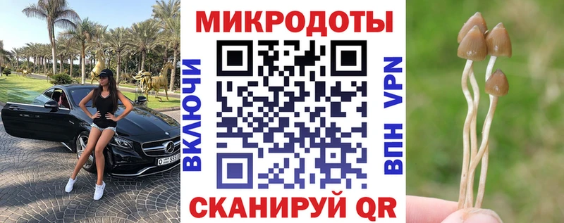дарнет шоп  Лебедянь  Галлюциногенные грибы GOLDEN TEACHER 